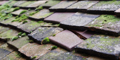 Tregagle roof repair costs